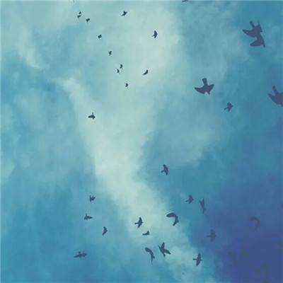 pg娱乐电子游戏