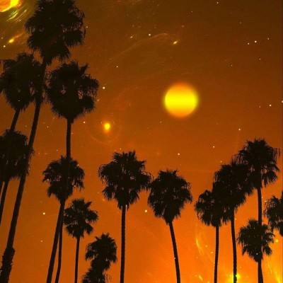 9博体育app下载官网