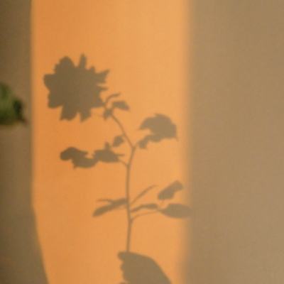 6566体育下载手机版