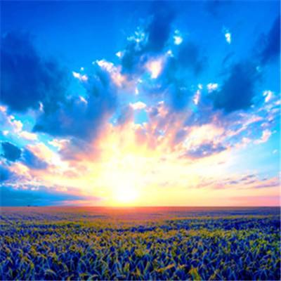 贝博app代言艾弗森