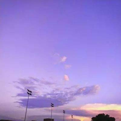 澳门威斯尼斯WNS888入口手机app下载