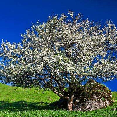 环球体育官方登录入口