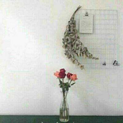 新万博全站app最新版app下载