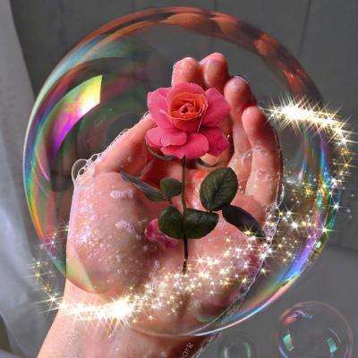 半岛体体育下载