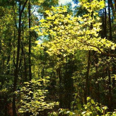 全球十大正规网赌网址