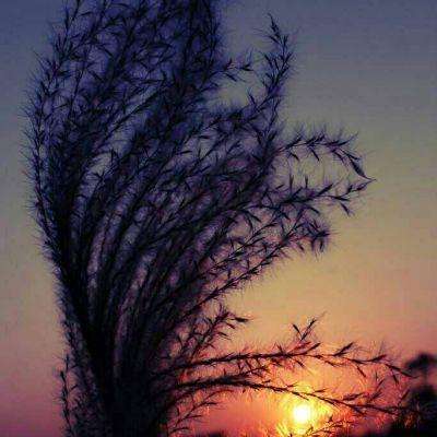 星空体育官方网站下载手机版