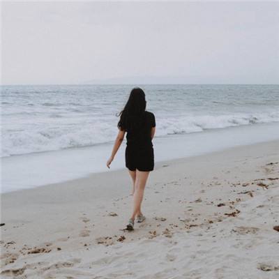 乐鱼app官网正式版下载